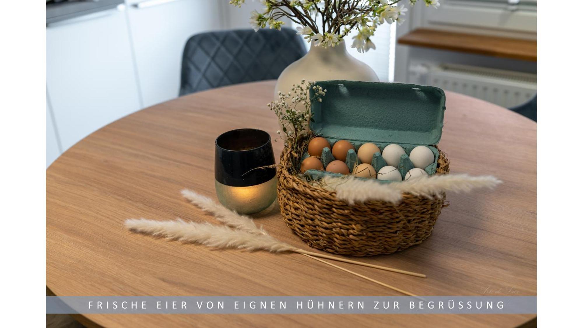 Apartment Leinetal - Bester Schlafkomfort In Hochwertiger Hotelbettwaesche, 3 Zimmer - Grosse Kueche, Duschbad & Parkplatz Northeim Eksteriør bilde